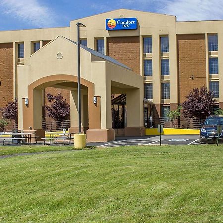 Comfort Inn Wethersfield - Hartford Esterno foto